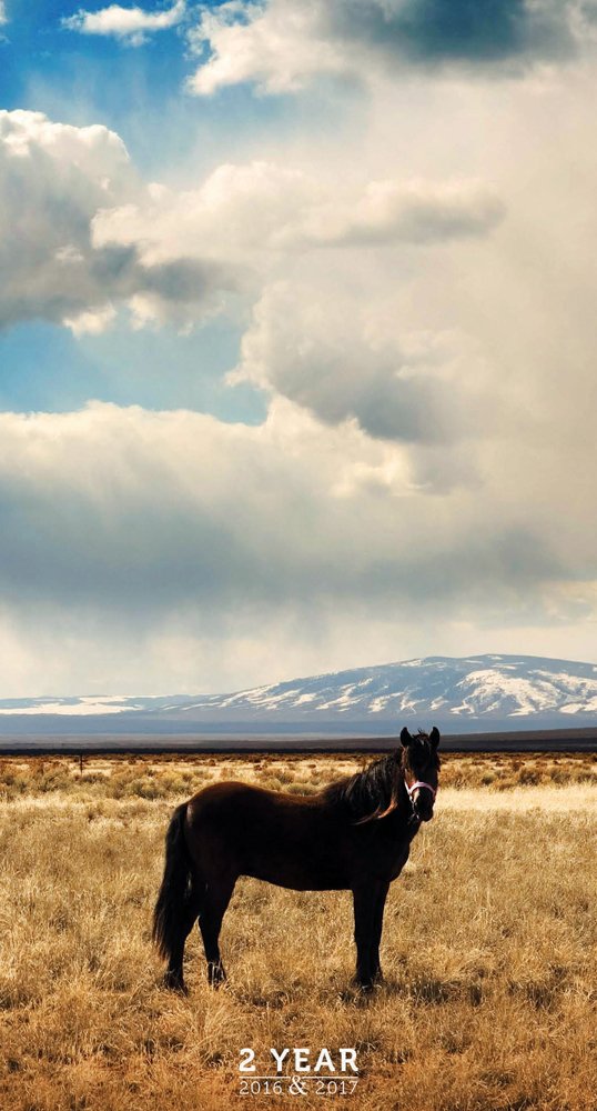 2016-2017 Horses 2 Year Pocket Calendar Calendar – August 16, 2015