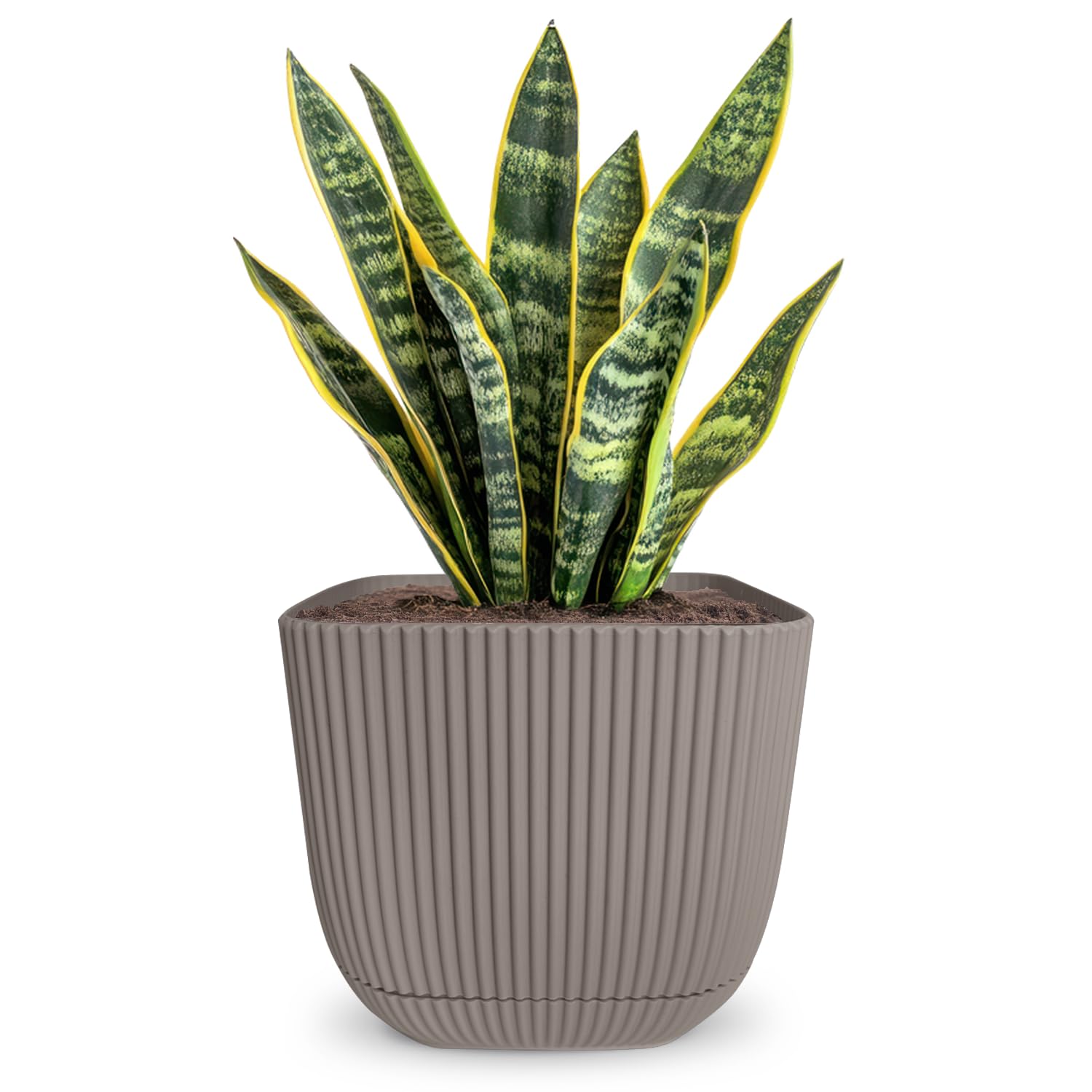Alqua Brown 19Cm Square Self Watering Plant Pot – Plastic Flower Pot With Drainage – Large Modern Matte Planter For Indoor & Outdoor Use – Decorative Square Garden Pot – Stylish Plant Container