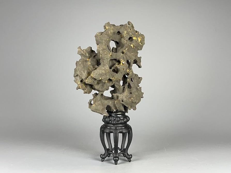 Amazon.co.jp: 鎖雲 中国美術 太湖石 玲瓏石 天然石 奇石 水石