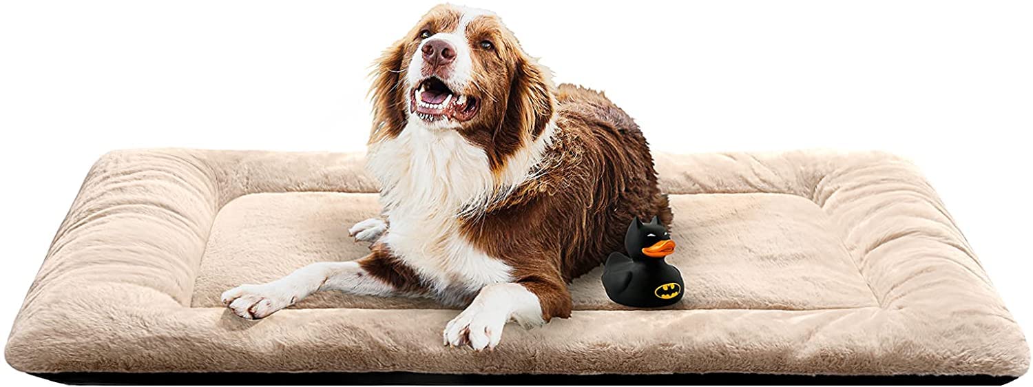 Petslover Ultra Soft Pet(Dog/Cat) Crate Mat Anti-Slip Machine Washable Kennel Pad Dog Sleeping Well Bed for Dogs (Cream, XXXL) (B09WW1DFZN) Amazon Price History, Amazon Price Tracker