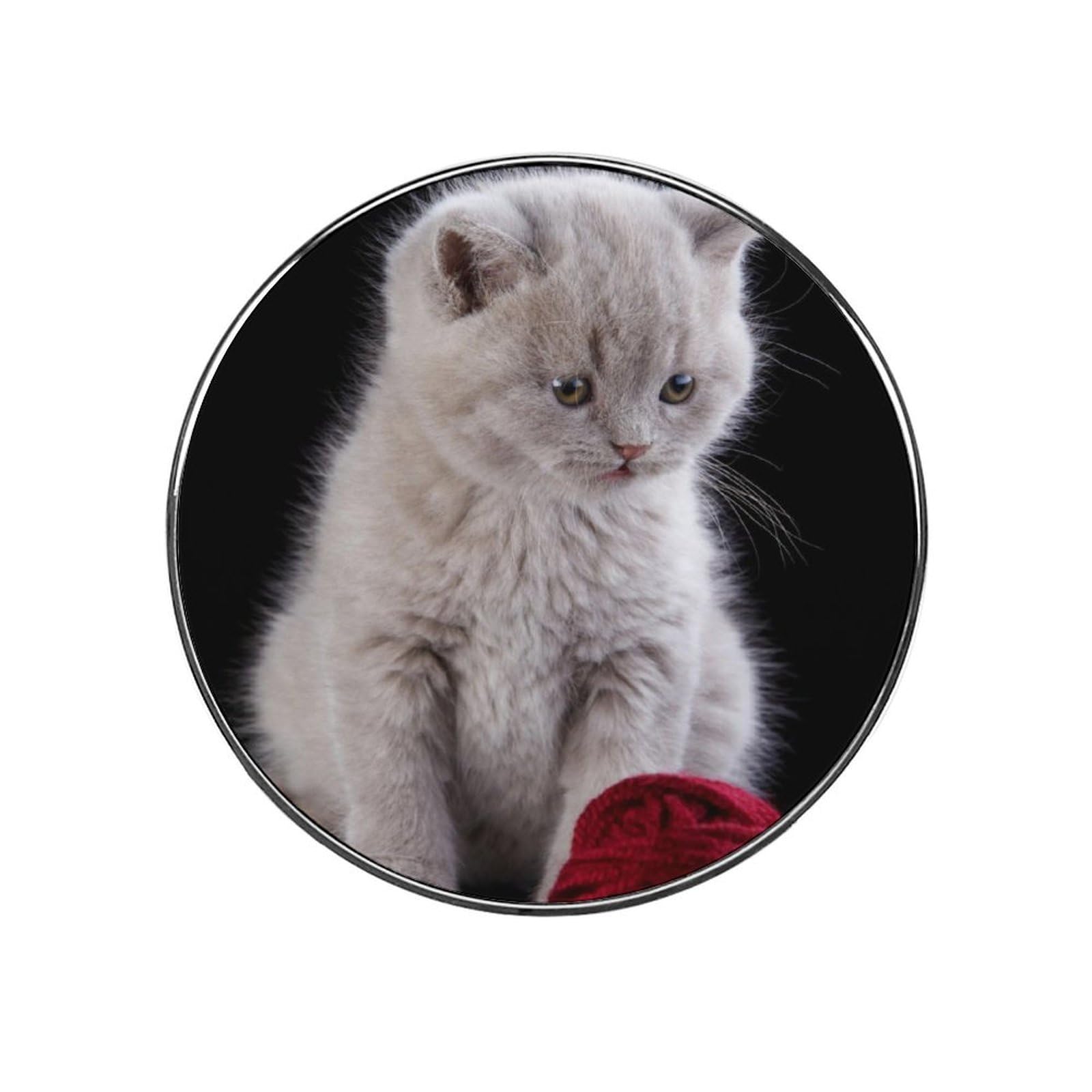 Cute Kitten Refrigerator Magnet Decorative Locker Magnet For Kitchen And Office Home Décor