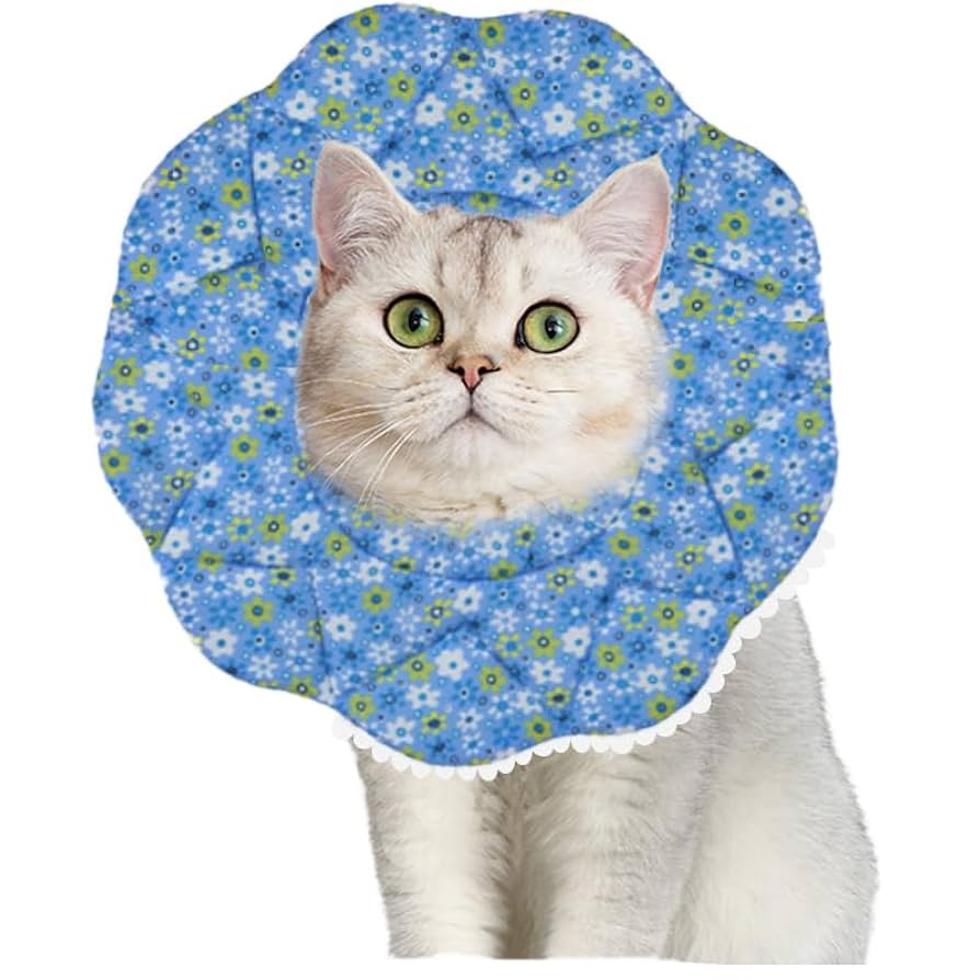 Amazon | エリザベスカラー 猫 犬 ソフト ［愛玩動物飼養管理士