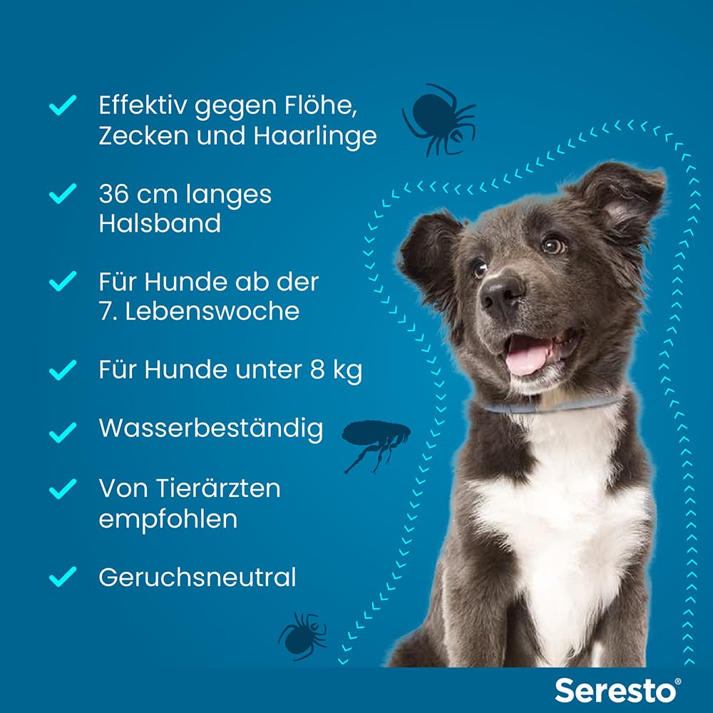 Seresto Zeckenhalsband für kleine Hunde bis 8kg mit Wurfball | Promo-Set für zuverlässigen Schutz vor Parasiten. Geruchsneutrales Halsband, wehrt Zecken vor dem Stich ab. Für Welpen.