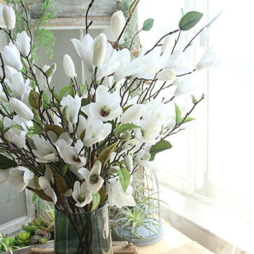 Lovskoo Fake Plants Home Decor Artificial Flowers Magnolia Centerpiece Table Decorations Preserved Flowers Vase Filler For Bedroom, Kitchen, Party, Green Ornaments For Women, Men (White) #TOP2