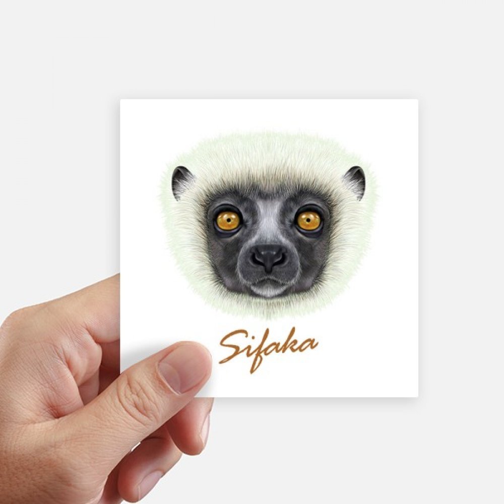 Autocollant singe blanc sifaka graphique lot de 8 stickers haut de gamme 10cm