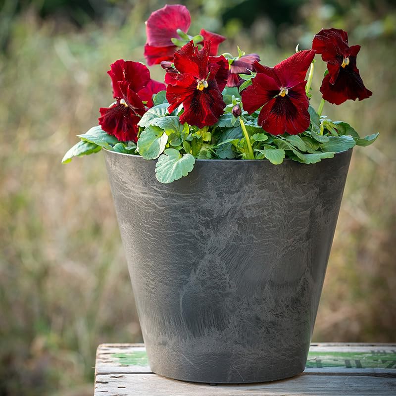 Amazon.com : Root & Vessel Napa Round Planter, Black, 8