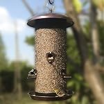 Nature's Rhythm Metal Hopper Bird Feeder Deux chambres, lourd devoir Mesh métal Dual Seed Compartiments Outdoor Hanging Wild Bird Feter avec 10 Ports d'alimentation,10lbs Capacité de semences