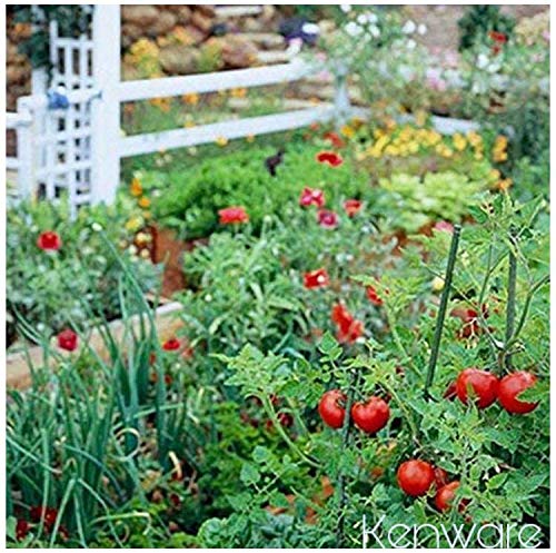 Kenware® Garden Tools kit Set of 3 Trowel Set Hand Digging Tools Set Trowel - Weeder - khurpi (Trowel Set of 3)