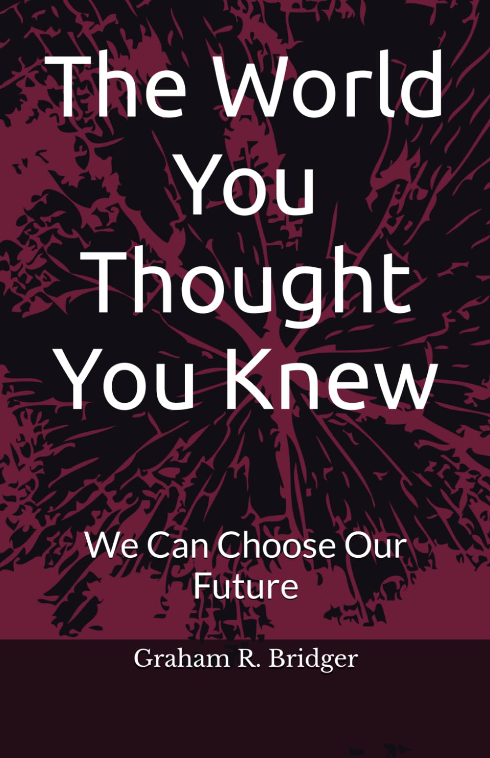 The World You Thought You Knew: We Can Choose Our Future