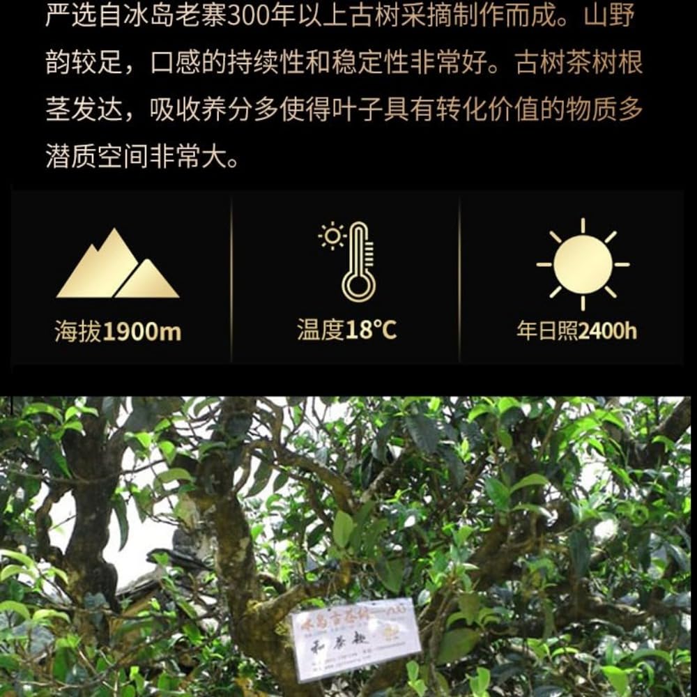 Herbata Yunnan Longzhu Herbata z dużego drzewa- Herbata Pu-erh Surowa herbata 250g do codziennego picia i prezentu 8.82 uncji