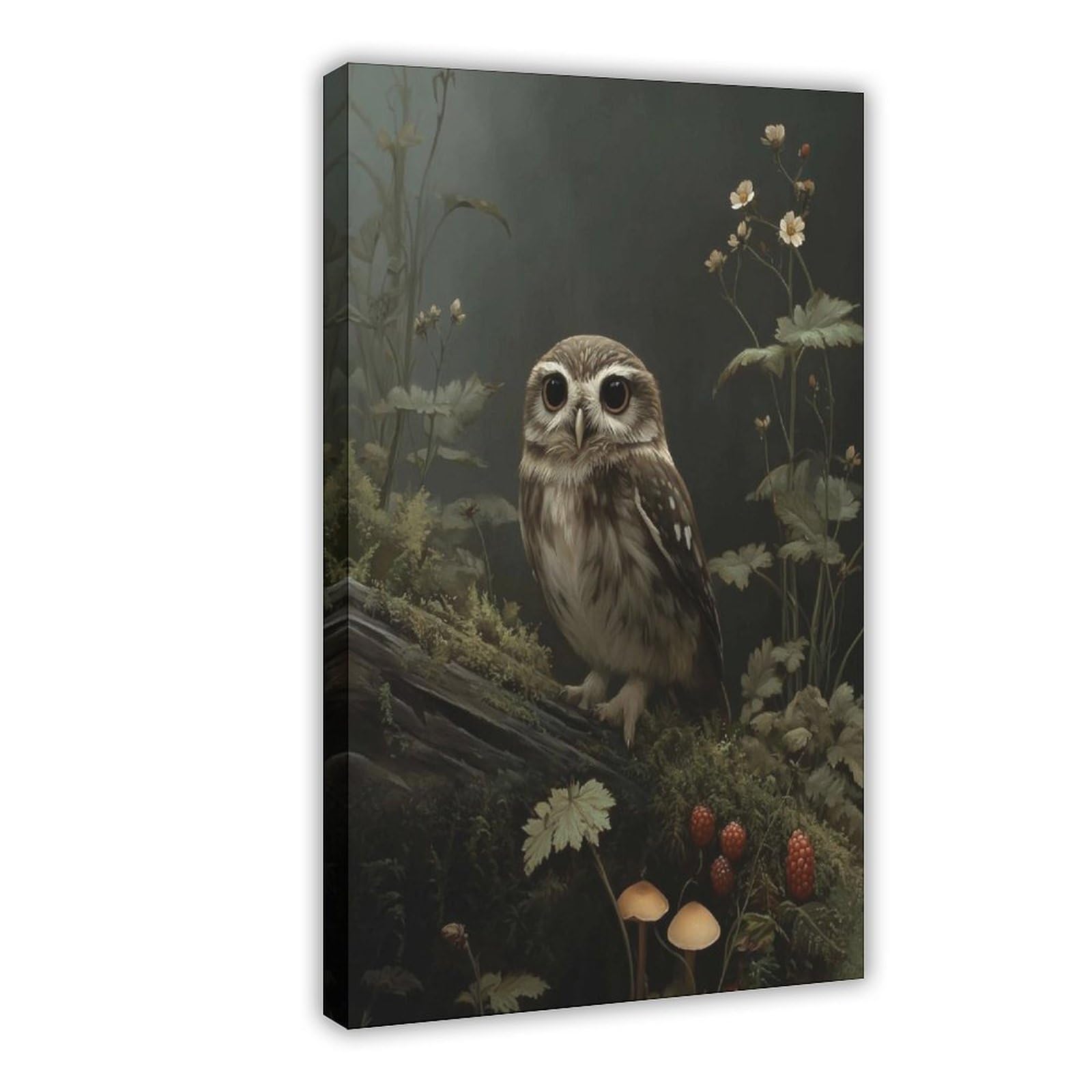 Bareronor Frame Whimsical Owl Canvas Poster Bedroom Decor Landscape Office Room Decor Gift 20" L X 30" W
