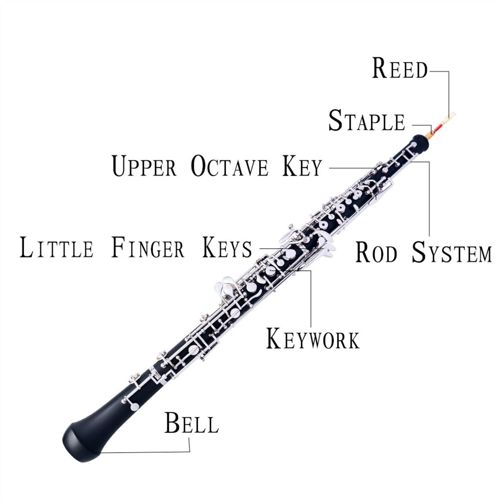 Strumento Oboe Shell Oboe C- Chiave Gomma Indurita Oboe Bachelite Semiautomatico Principiante di Oboe
