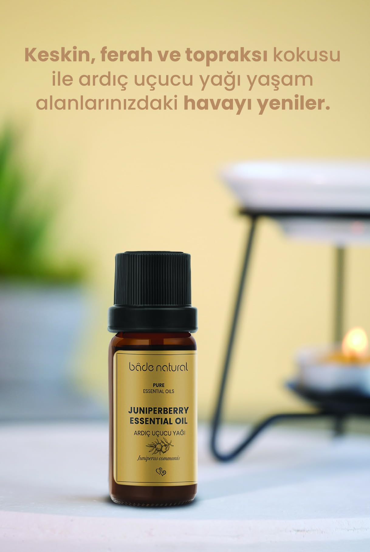 Bade Natural Ardiç Uçucu Yağı 1 Paket (1 X 10 Ml)