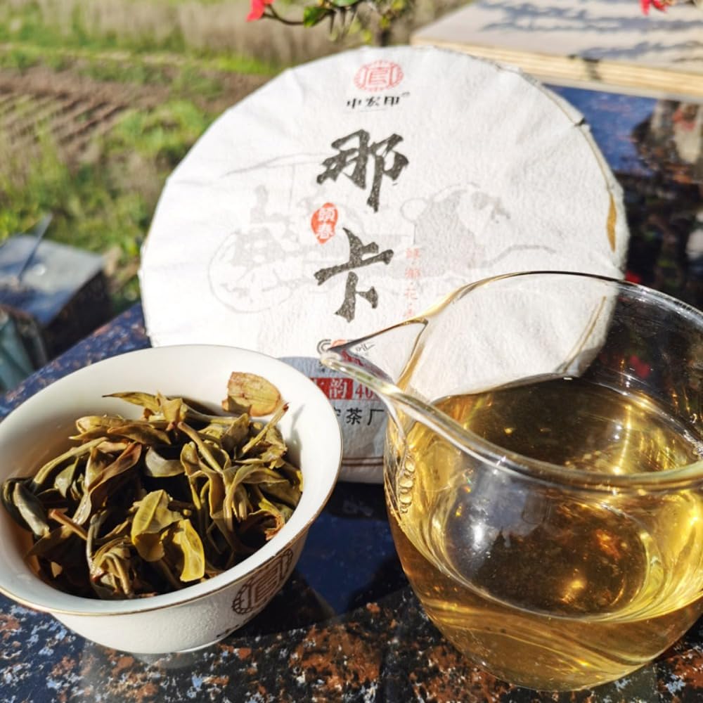 Yunnan Naka Té Del Árbol Antiguo 357g Fuerte Encanto Montañoso Primera Primavera Puerh Pastel De Té Crudo