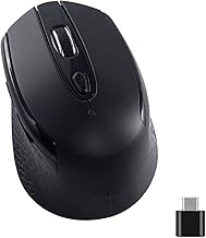 Type C Wireless Computer Mouse, 2.4G Silent Cordless Mouse for Laptop, USB C Mouse with 6 Buttons and 3 Adjustable DPI for Laptop, Deskbtop, MacBook, PC
