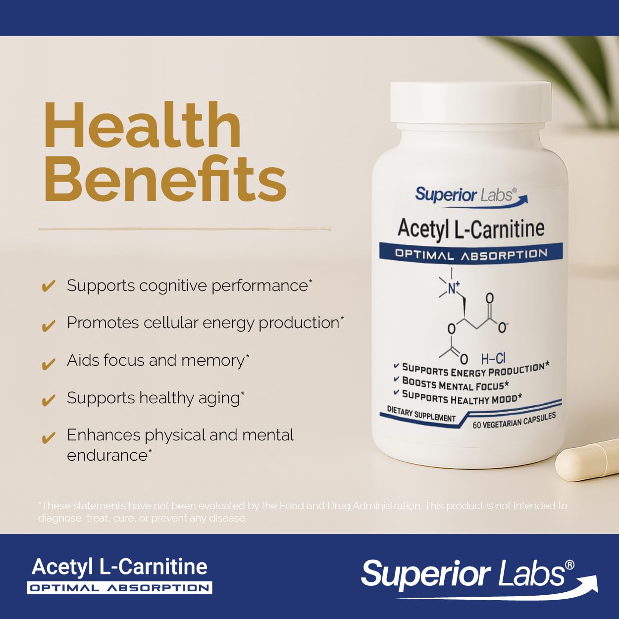 n acetyl l carnitine side effects Amazon.com: Superior Labs Acetyl L-Carnitine 500 mg, High Potency ALCAR,  Pure Non-GMO, Zero Synthetic Additives, Maximum Absorption, Energy & Fat  Metabolism, Brain, Nerve & Cellular Detox Support, (60 Veg Caps) :  Everything