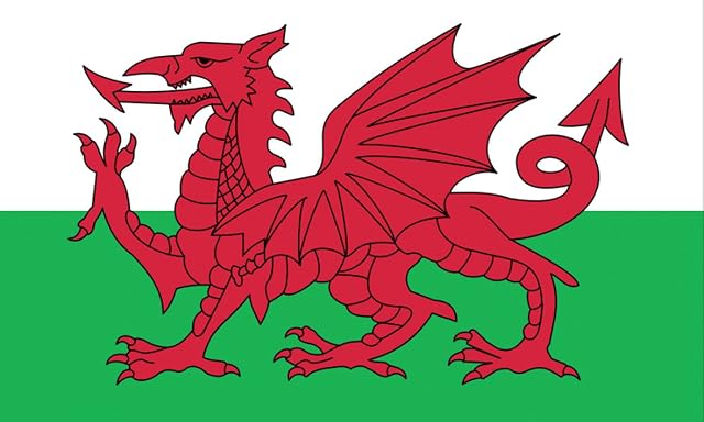 Wales Welsh Dragon Flag MASSIVE 8'x5' (2.4m long!)