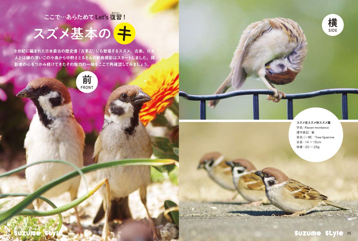 にっぽんのスズメと野鳥仲間 中野さとる
