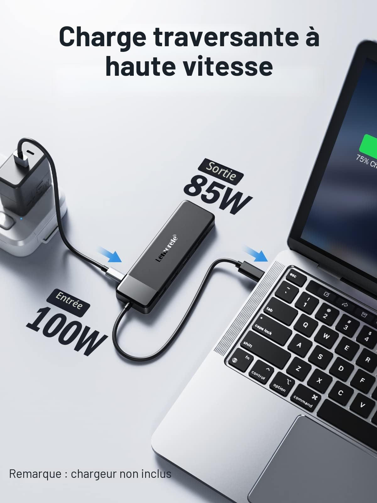 Lemorele Docking Station d'accueil USB C, Adaptateur Hub USB C 10 en 1 vers Double HDMI 4K, VGA, USB 3.0, 2 USB 2.0, 100W PD, SD/TF, AUX 3,5 mm pour MacBook Pro/HP/Dell/Lenovo/Acer et Plus