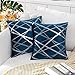 MIULEE Copricuscini per Divano Federe Cuscini Velluto per Camera da Letto Soggiorno Letto Matrimoniale Decorativi Moderni e Eleganti Federa con Linee d'argento Arredo Fodere 2 Pezzi 45X45 CM Blu Navy
