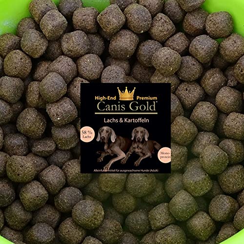 Canis Gold 10 kg Adult 58% Lachs + Kartoffel (Monoprotein) getreidefreies Super Premium Hunde Trockenfutter