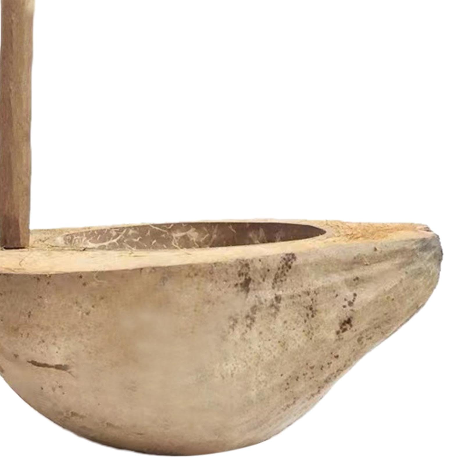 CLUB BOLLYWOOD® Coconut Tree Bowl Crafts Special Eco Friendly Southeast Asian Style for Home | Kitchen Dining & Bar | Dinnerware & Serving Dishes | Bowls | Bowls | 1 Piece Bowl