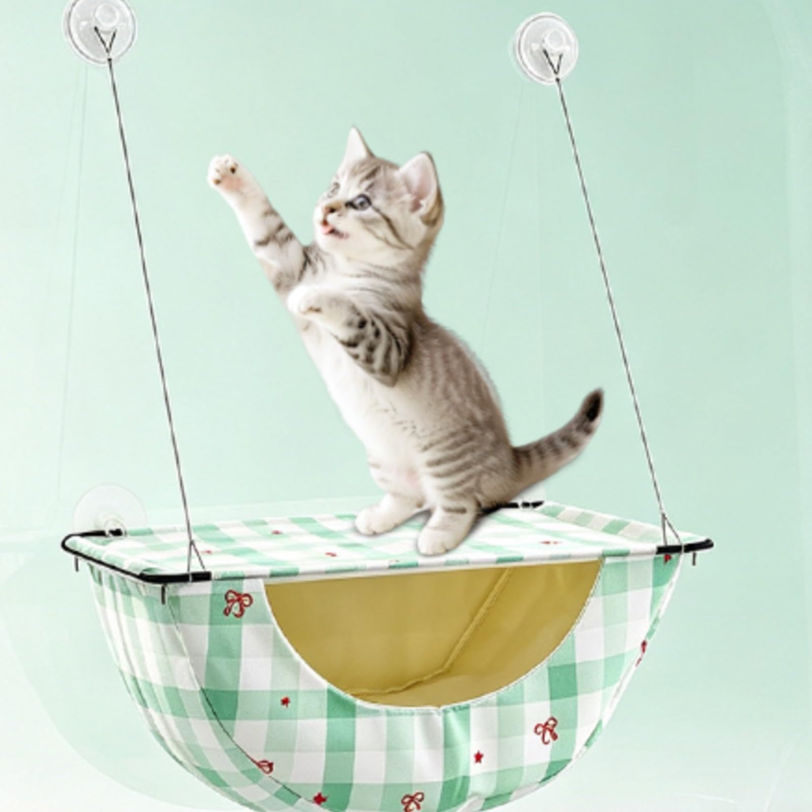 Davanzale per Gatti Traspirante, Anguria Fresca