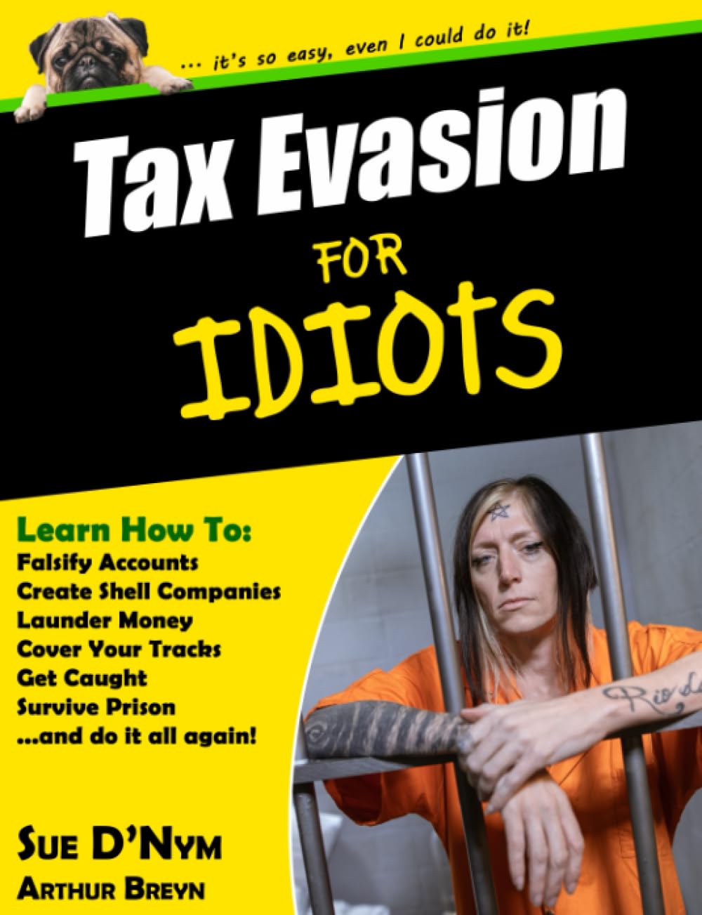 Tax Evasion for Idiots (For Idiots Guidebooks)