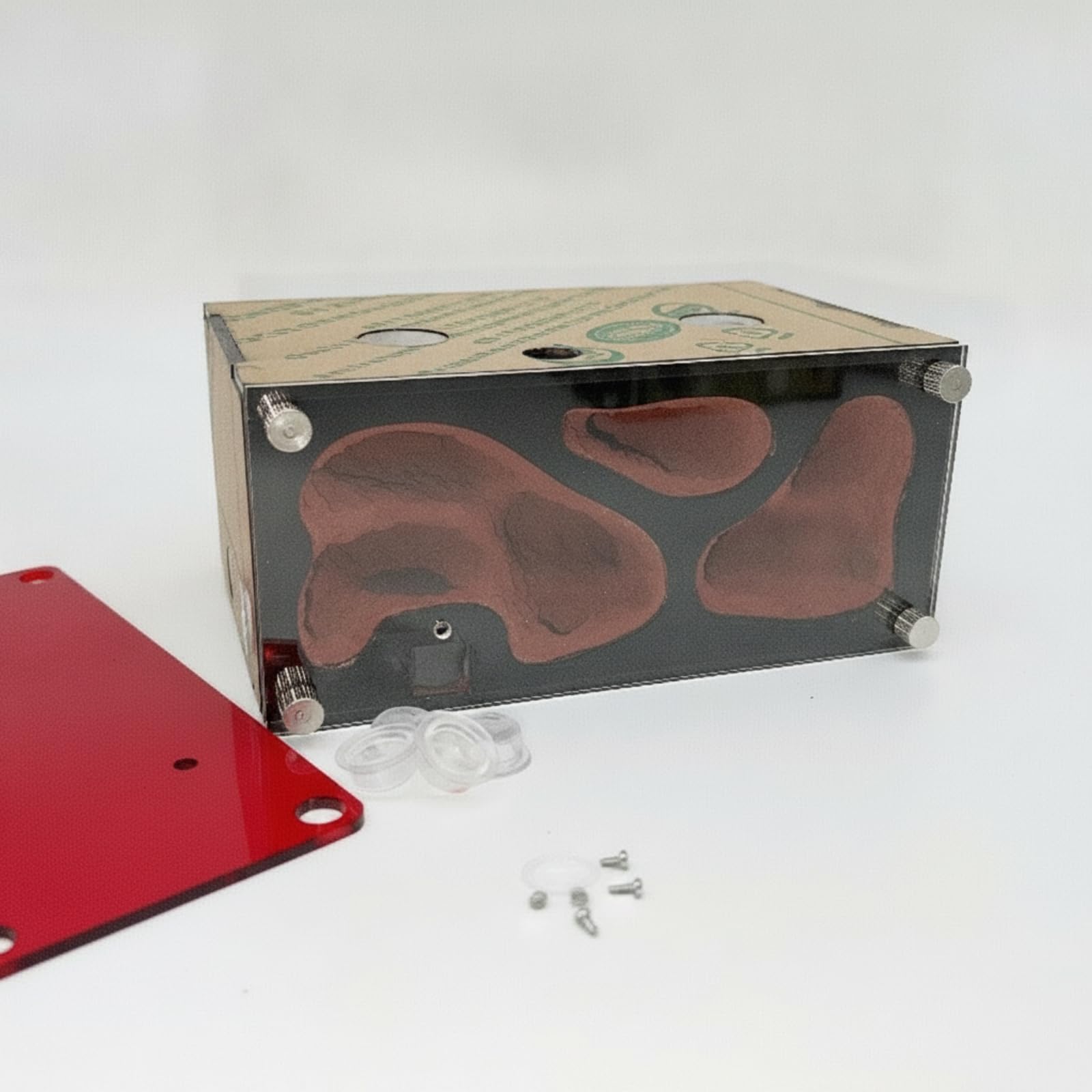 Formicaio in Acrilico Modulare Kit Nido di Formiche Trasparente Habitat per Appassionati, Mirmecologi, Osservazione Scientifica, Nido B Normale