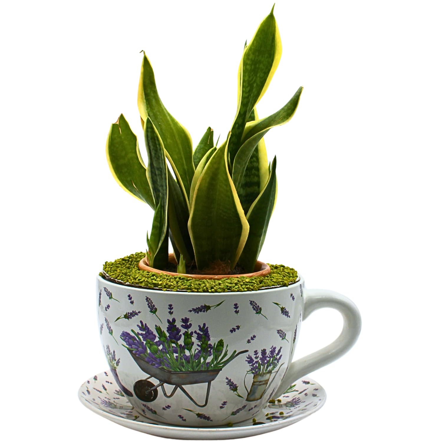 Dekohelden24 Pot de Fleurs XXL avec poignée en céramique, Motif Lavande, 34 x 28 x 16 cm.