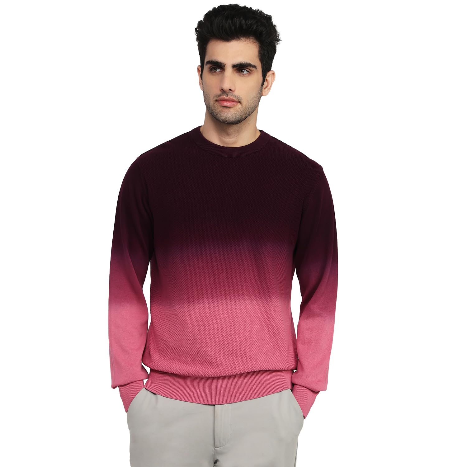 colorplus Men Regular Fit Jacquard Pattern Pure Cotton Full Sleeve Round Neck Casual Sweater Dark Maroon-picture-30