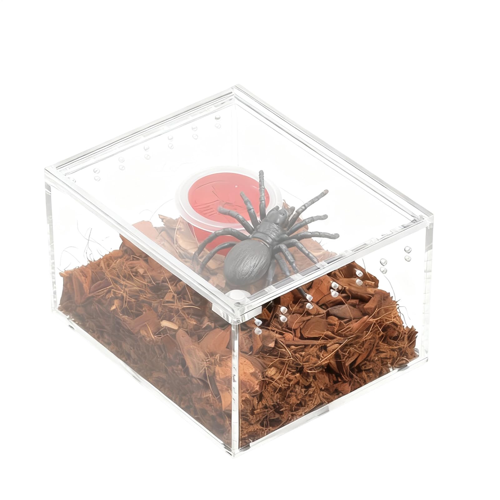 Hábitat para Araña Saltarina,Recipiente Transparente para Crianza y Alimentación | Recinto Para Serpientes de Acrílico | Para Reptiles Lagartija Serpiente Tortuga Rana Gecko Ermitaño y Contenedor para