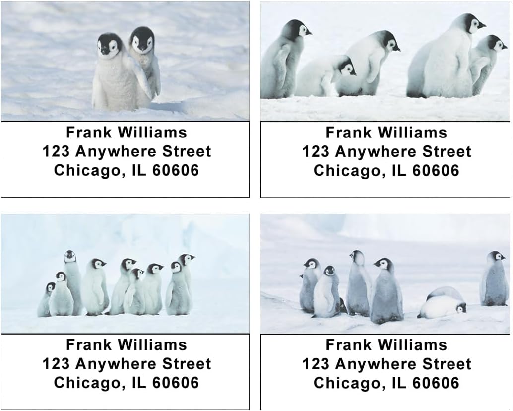 Cute Penguin Chicks Address Labels