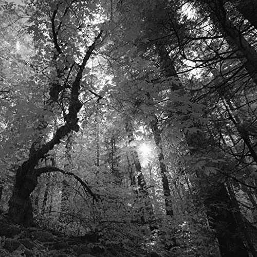 174 Hz Meditation for Stress and Pain Relief (VI)