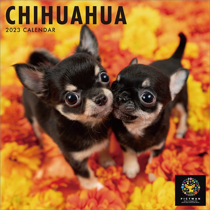 Amazon | インターズー・クリニッククラブ チワワ 2023年 カレンダー