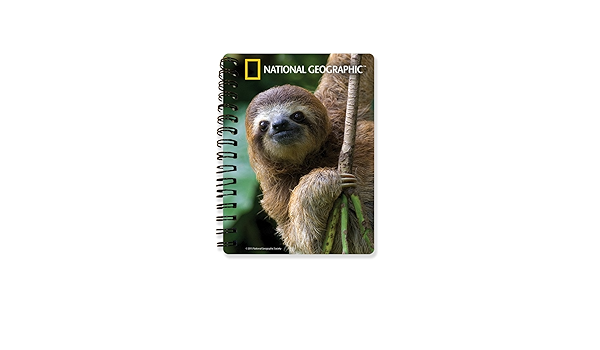 national geographic ng18076 tembel hayvan notebook dizustu bilgisayar amazon com tr