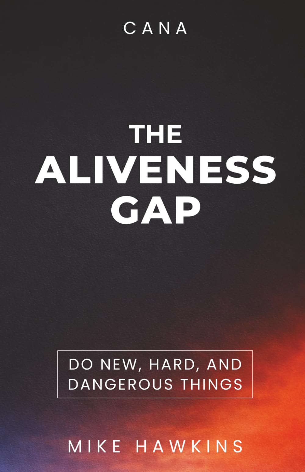THE ALIVENESS GAP: Why You’re Functional — But Not Fully Alive (New, Hard, and Dangerous)