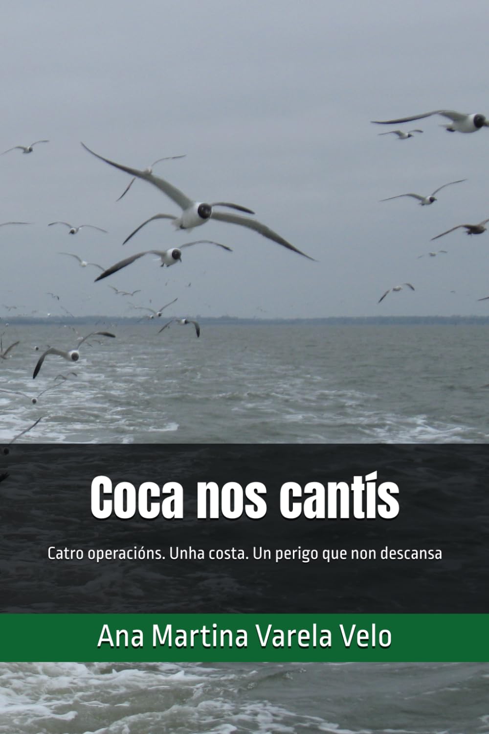 Coca nos cantís: Catro operacións. Unha costa. Un perigo que non descansa