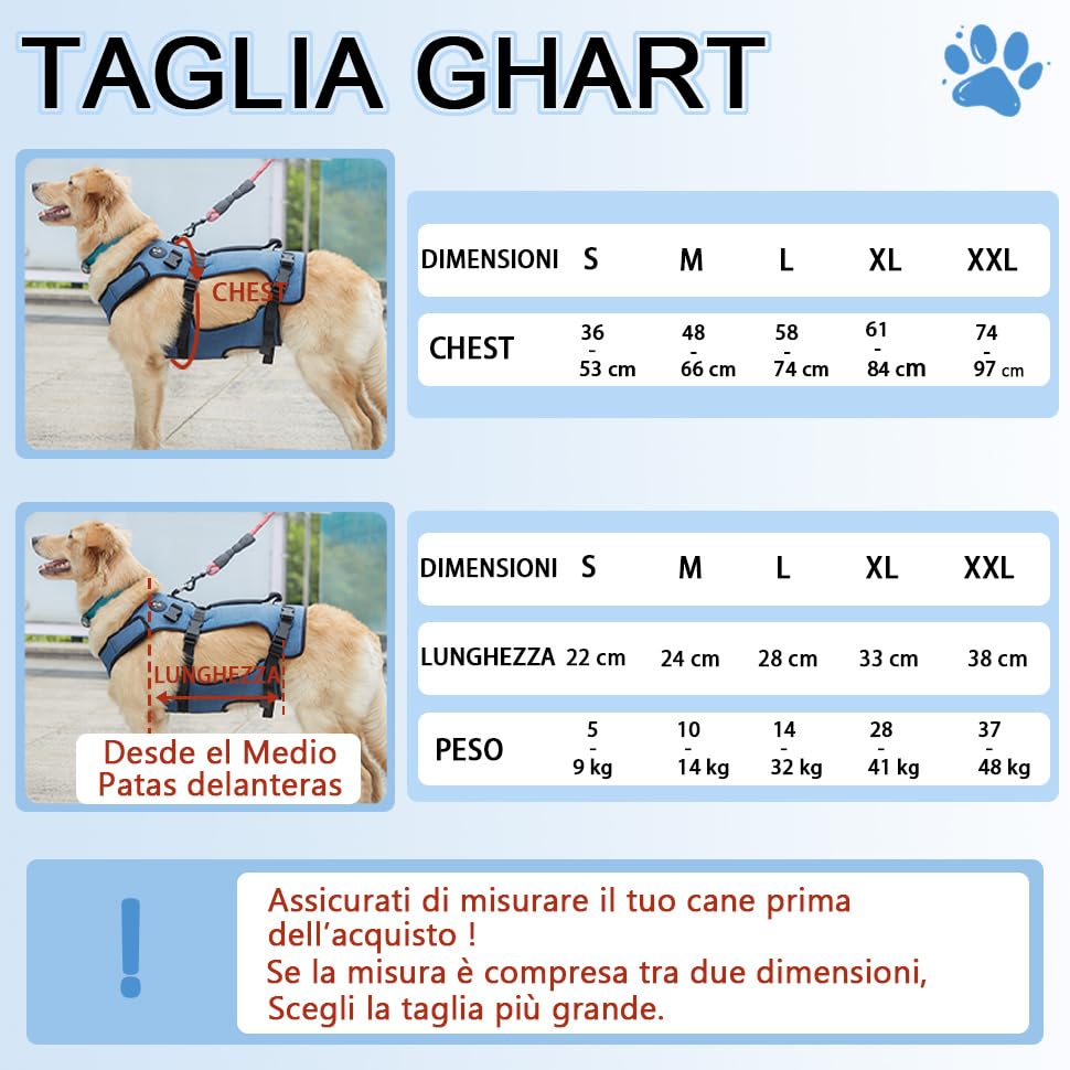 Imbracatura Per Sollevamento Cani Regolabile – Gilet Riabilitativo Per Cani Anziani, Disabili O Paralizzati (Taglia L, Nero)