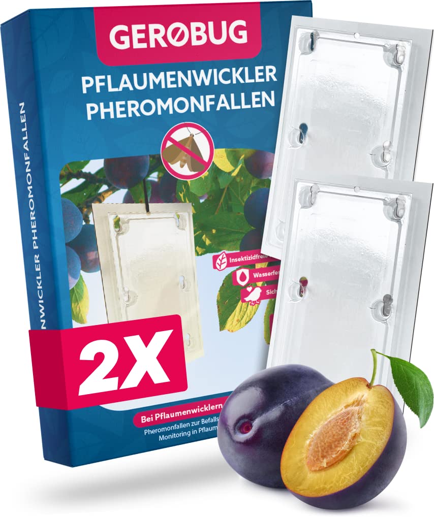 Bio Pflaumenwicklerfalle Pheromonfalle [2 Stück] für gesunde und wurmfreie Pflaumen - Attraktive Pflaumenmadenfalle sichert die Pflaumenbaum Ernte - Insektizidfrei & unauffällig für Plantagen
