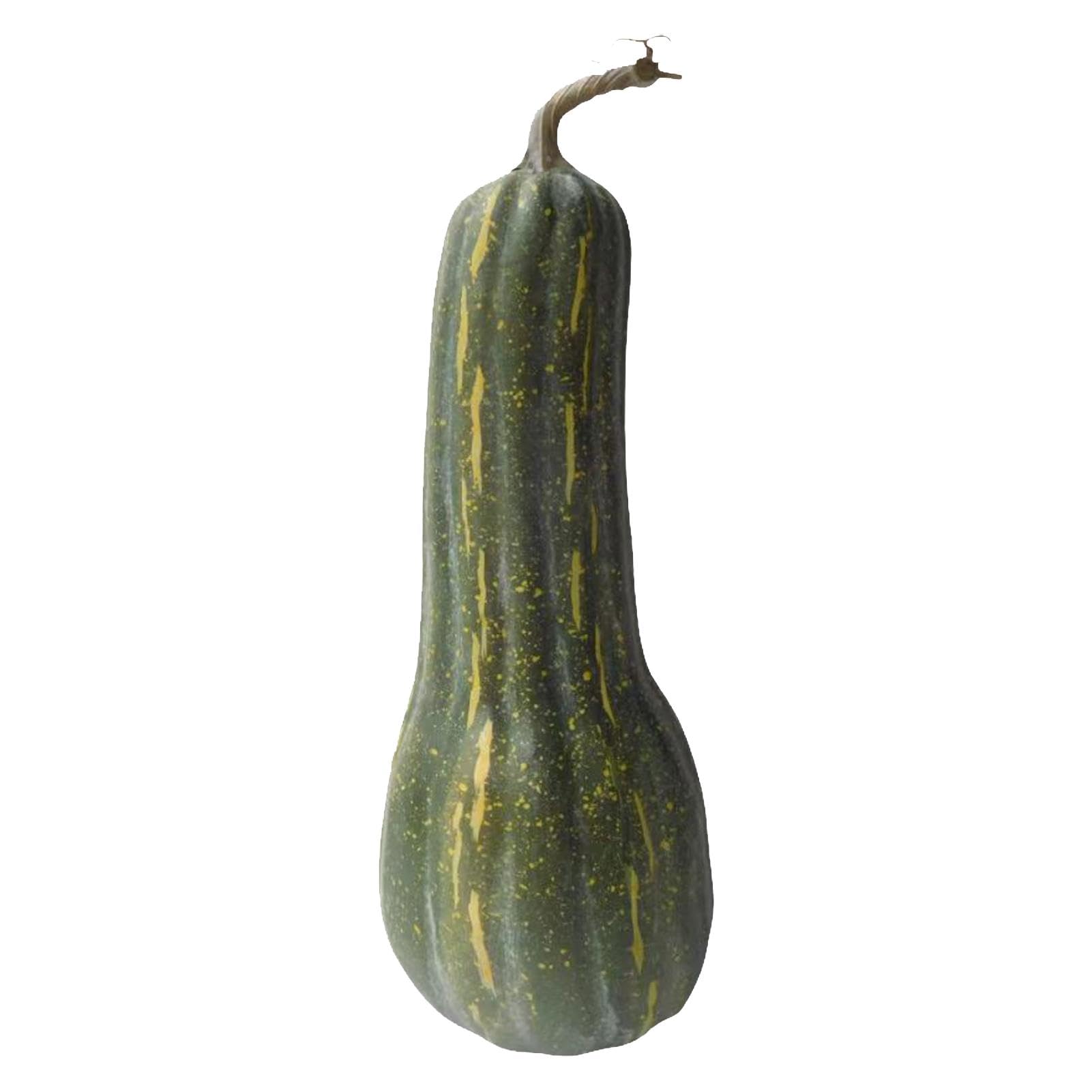 Zucche Artificiali, Di Lunga, Schiuma Decorativa Per Il
