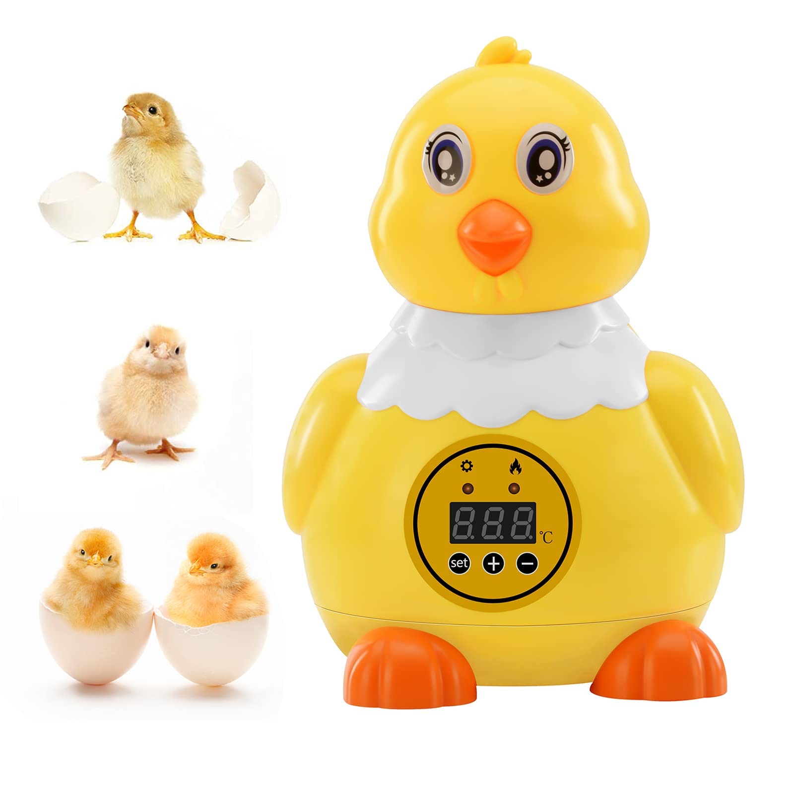 Buy Mini Egg Incubator, 6 Eggs Incubator Automatic, Incubator Digital