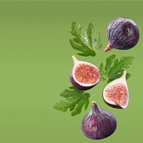 Miniatura 438 de VINEVIDA Aceite de fragancia de cuero genuino para difusores de aire frío, aceites esenciales para recarga de aceite difusor y ambientador