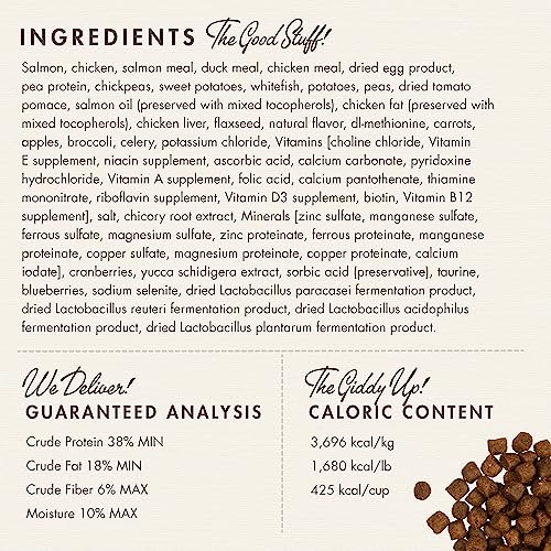 Fromm Four-Star Nutritionals Surf & Turf Cat Food - Premium Dry Cat Food - Salmon Recipe - 4 Lb #TOP3