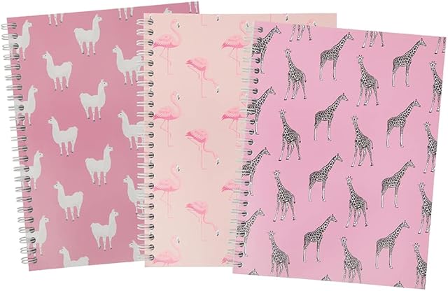 Summit A5+ Ruled with Margin, 160 pages, 3 Pack