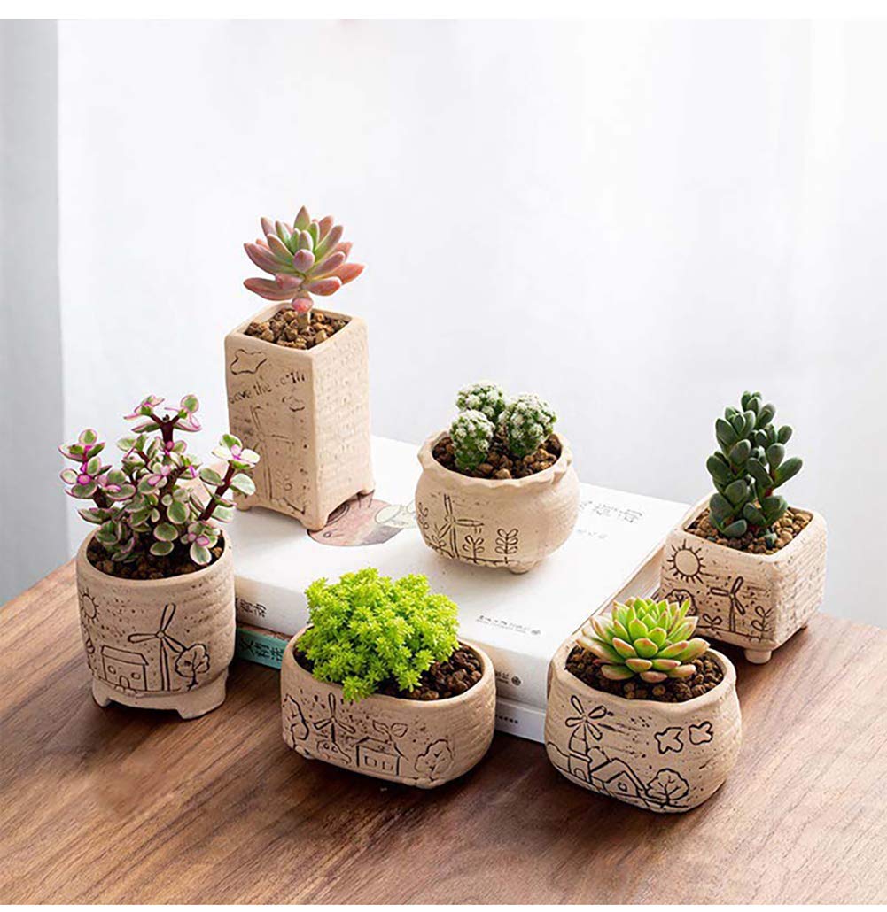 SUCCULENTA ARTIFICIALE VASI Per Piante Vaso Da Fiori in Legno Con