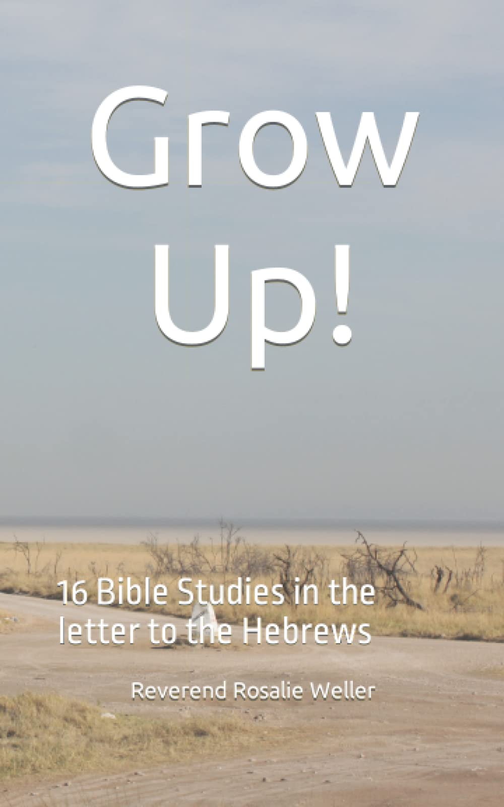 Grow Up!: 16 Bible Studies in the letter to the Hebrews