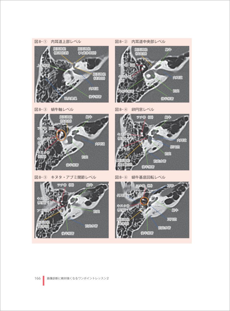 MRI研究のヒント~座談会に学ぶ~ (映像情報Medical) [ムック] 扇 和之 MRI研究のヒント~座談会に学ぶ~ (映像情報Medical) [ムック] 扇 和