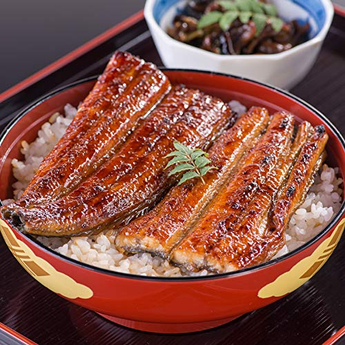 通常ギフト 特大国産うなぎ蒲焼き1本とカット2枚 セット 計約270g