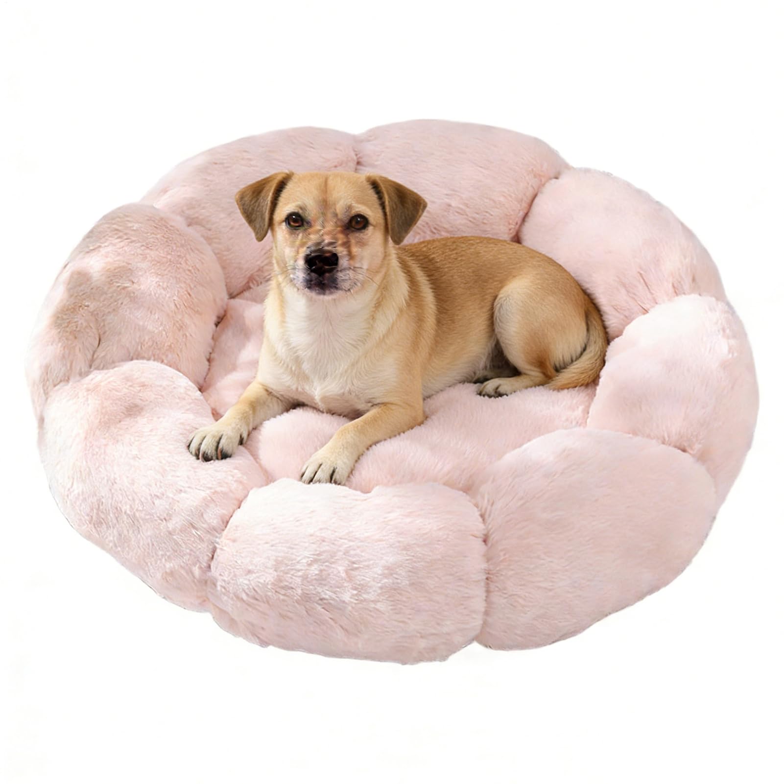 Lit pour chat antidérapant de 40 cm pour calmer un chiot anxieux